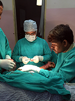 SB Consultancy Services